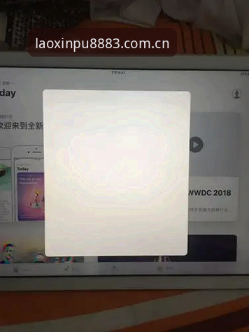 新葡萄APP登录不了怎么办？哪个平台值得信赖？