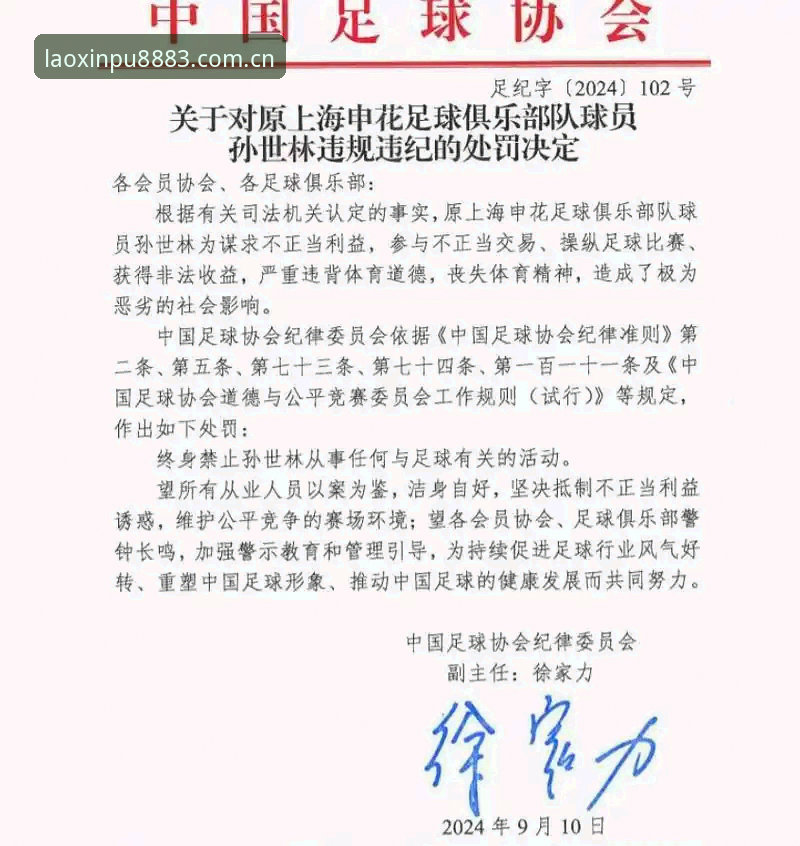 中国足协第三批禁足名单深度评测：17人终身禁赛背后，新葡萄8883平台用户见证足球反腐风暴