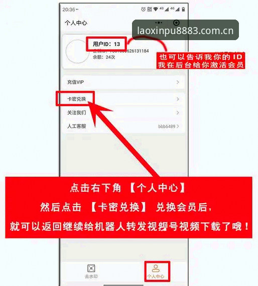 揭秘新葡萄网站登录入口：你不知道的高效登录技巧与VIP专属通道